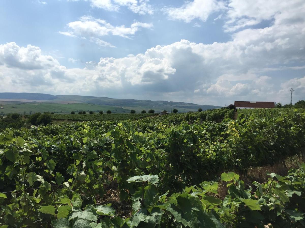 Bed and Breakfast Wineyards Salin Турда Экстерьер фото