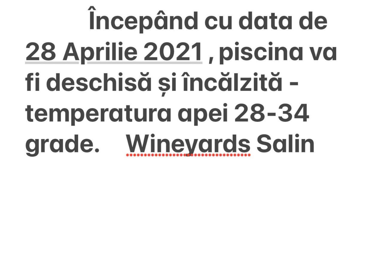 Bed and Breakfast Wineyards Salin Турда Экстерьер фото