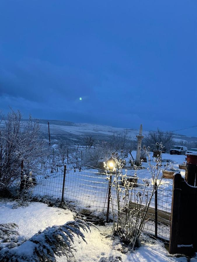 Bed and Breakfast Wineyards Salin Турда Экстерьер фото