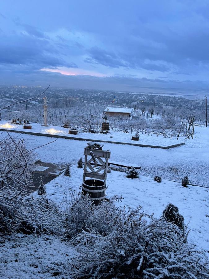 Bed and Breakfast Wineyards Salin Турда Экстерьер фото